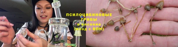 гашик Бугульма