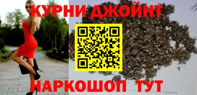 гашик Будённовск
