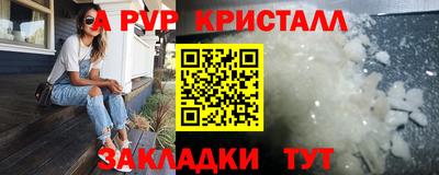 гашик Будённовск
