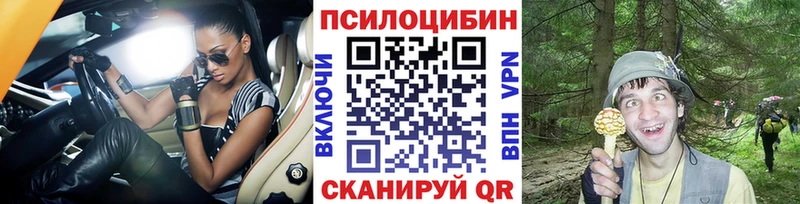 Галлюциногенные грибы прущие грибы  Баксан 
