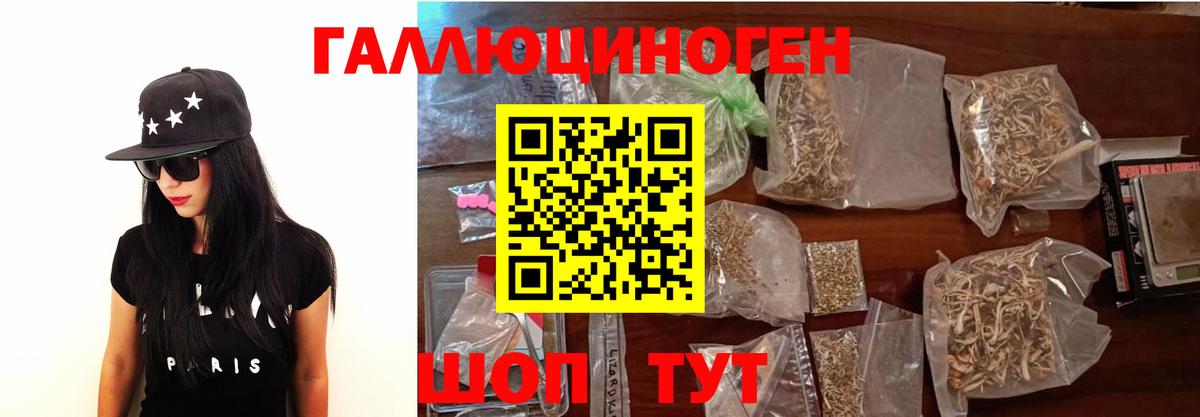 Галлюциногенные грибы Psilocybine cubensis  Вход с VPN  Баксан  Псилоцибиновые грибы Magic Shrooms 